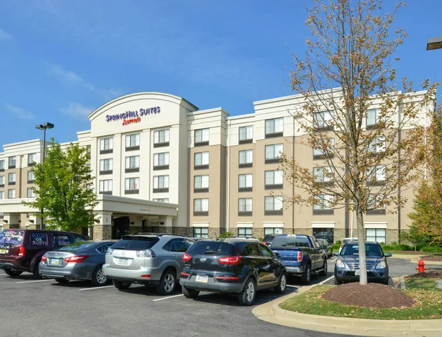 Springhill Suites by Marriott Pittsburgh Mills hotel detail image 2