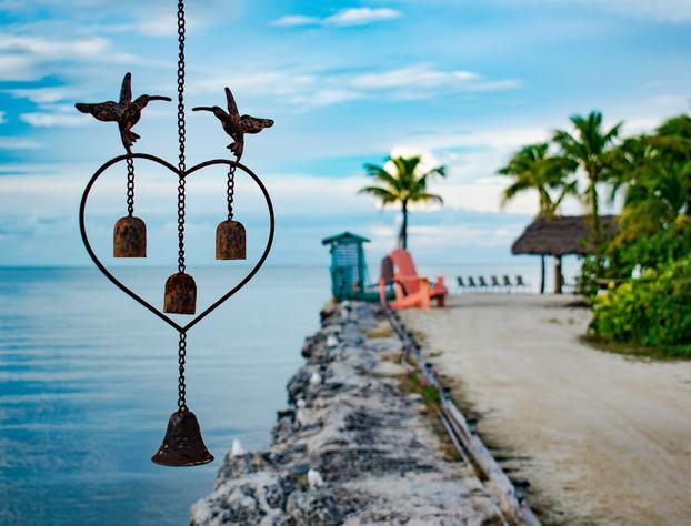 Blackfin Resort and Marina hotel detail image 3