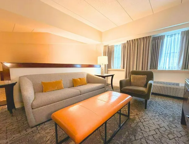 Sheraton Boston Needham Hotel hotel detail image 3