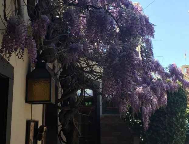 Inn of the Governors hotel detail image 4