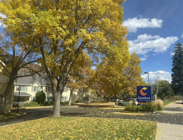 Comfort Inn & Suites Carbondale on the Roaring Fork hotel detail image 1