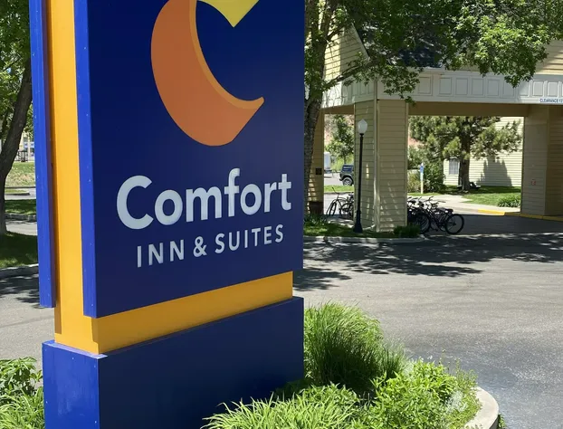 Comfort Inn & Suites Carbondale on the Roaring Fork hotel detail image 3