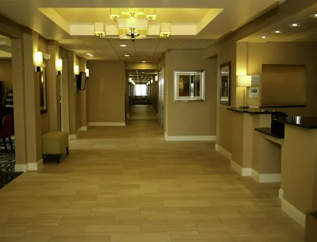 Holiday Inn Express Hotel & Suites Marion Northeast by IHG hotel detail image 4