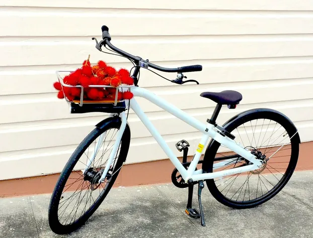 Kona Seaside Hotel hotel detail image 4