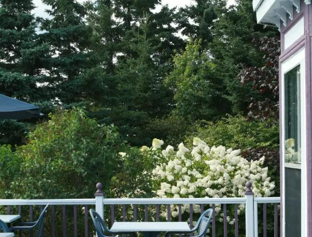 Surfside Inn hotel detail image 3