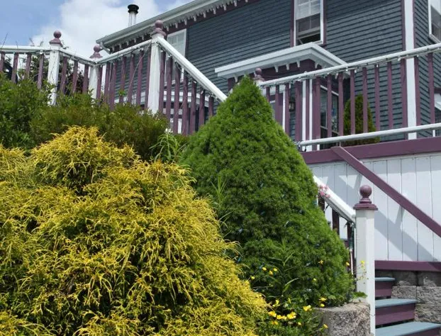 Surfside Inn hotel detail image 4