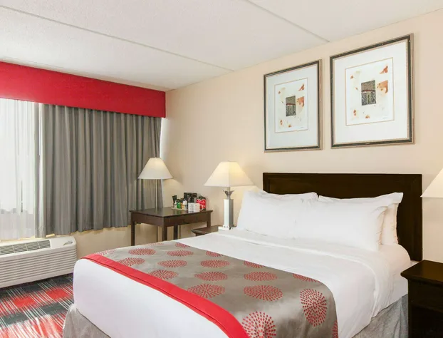 Ramada Plaza by Wyndham Albany hotel detail image 3