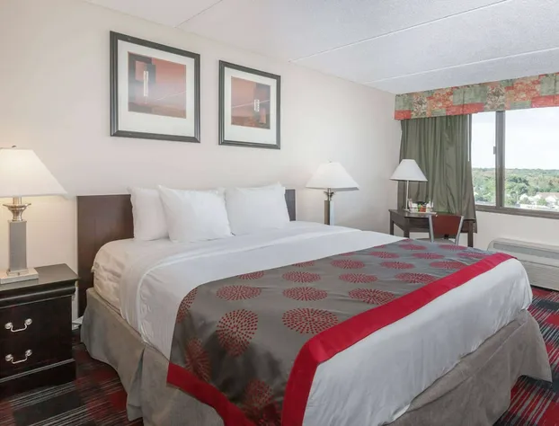 Ramada Plaza by Wyndham Albany hotel detail image 4