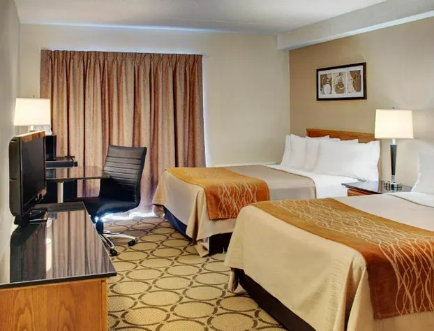 Comfort Inn West Edmonton hotel detail image 4