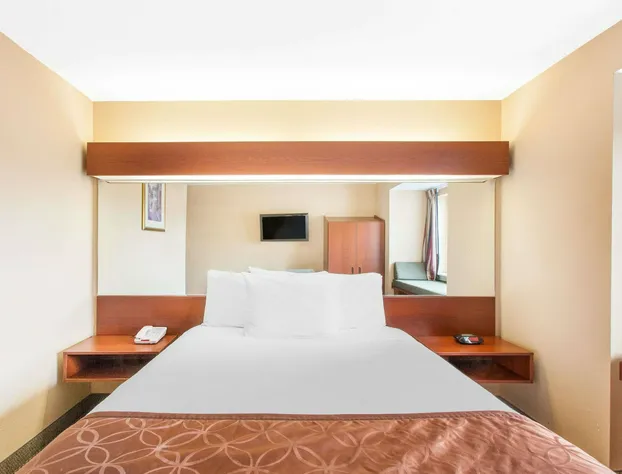 Microtel Inn & Suites by Wyndham Rogers hotel detail image 4