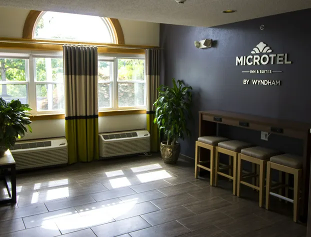 Microtel Inn by Wyndham Victor/Rochester hotel detail image 4
