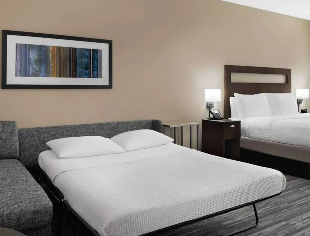 Hampton Inn & Suites Denver Downtown-Convention Center hotel detail image 4