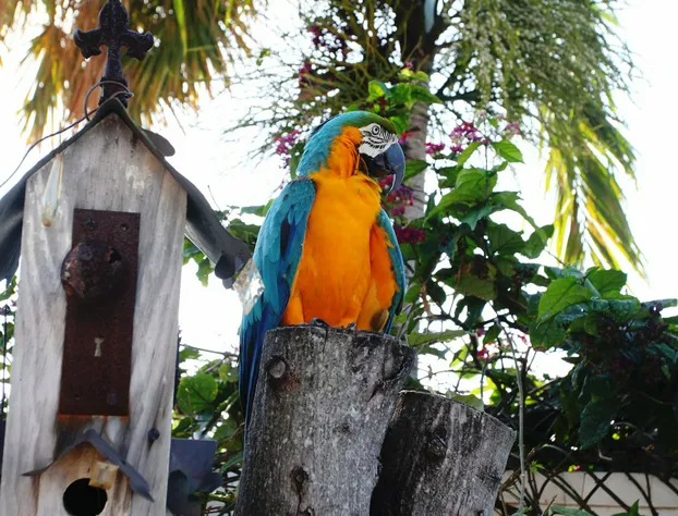 Galt Villas Hotel hotel detail image 1