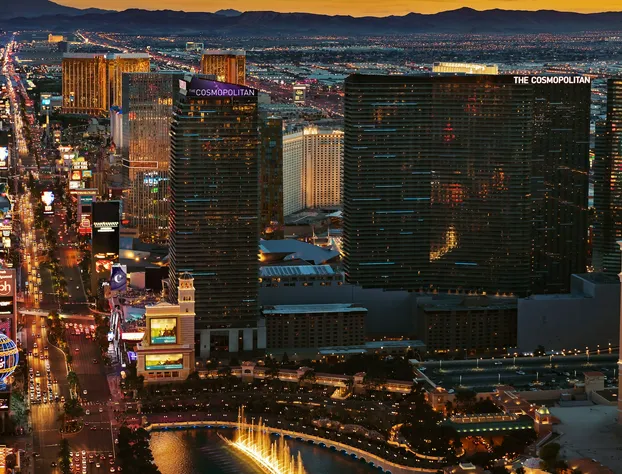 The Cosmopolitan Of Las Vegas hotel detail image 1