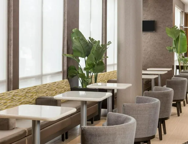 SpringHill Suites by Marriott Lafayette South at River Ranch hotel detail image 3