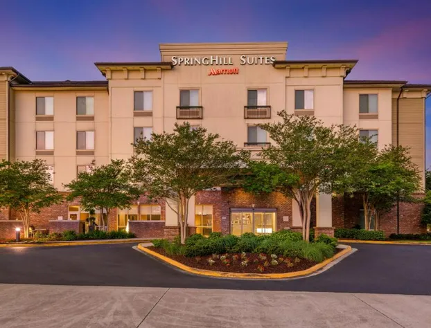 SpringHill Suites by Marriott Lafayette South at River Ranch hotel detail image 1