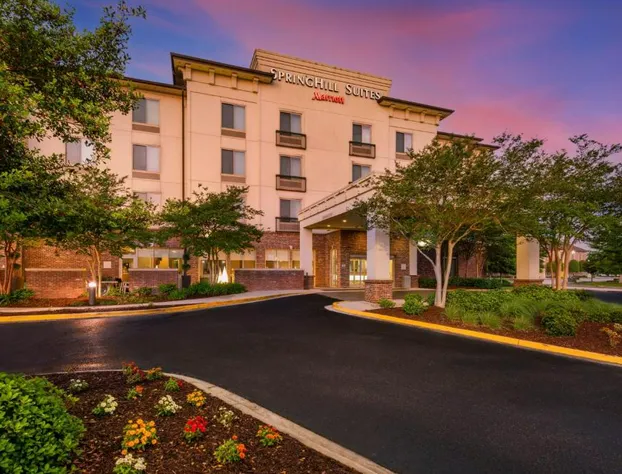 SpringHill Suites by Marriott Lafayette South at River Ranch hotel detail image 2