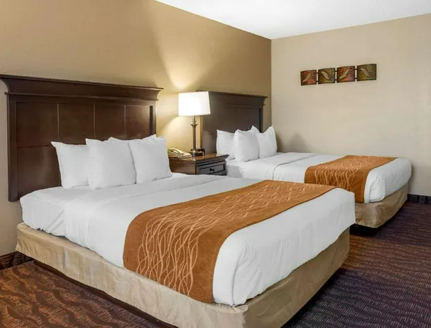 Comfort Inn at Thousand Hills hotel detail image 3