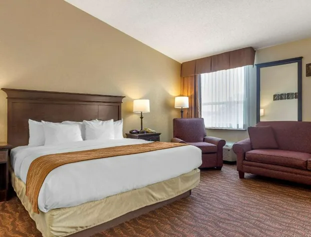 Comfort Inn at Thousand Hills hotel detail image 4