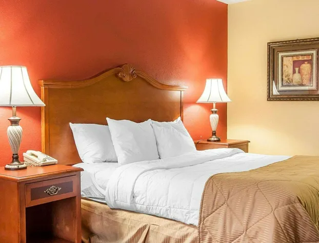 Clarion Inn & Suites University Center hotel detail image 3