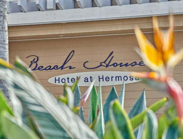 Beach House Hotel at Hermosa Beach hotel detail image 2
