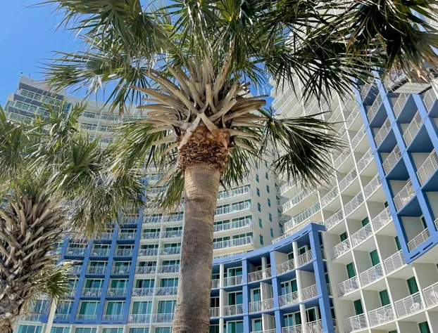 Avista Resort hotel detail image 1