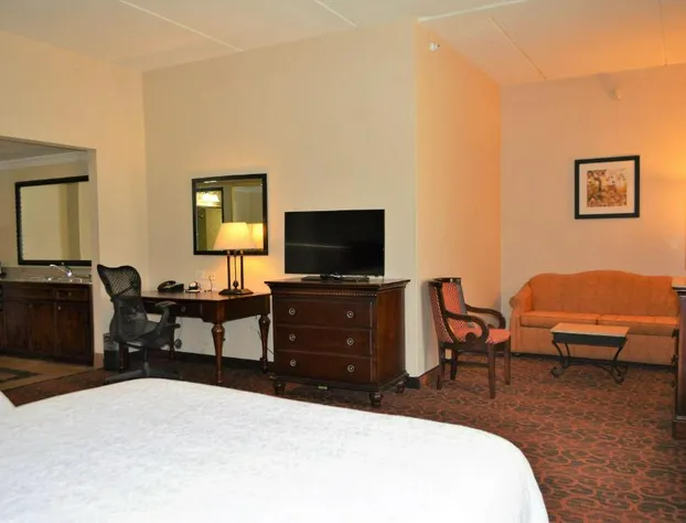 Hampton Inn & Suites Houston Katy hotel detail image 4