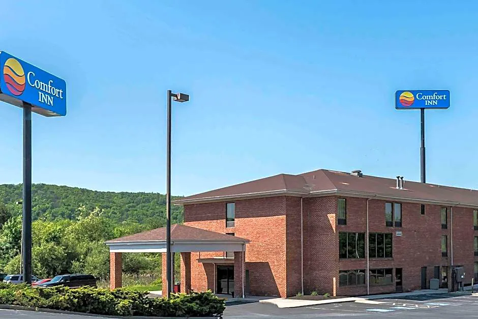 Comfort Inn Pine Grove I-81 Hershey Area hotel hero