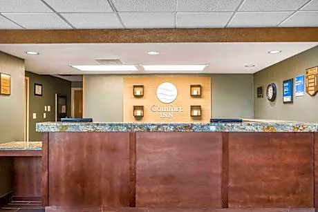 Comfort Inn Pine Grove I-81 Hershey Area hotel detail image 4