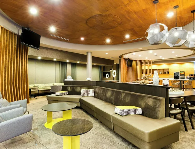 SpringHill Suites by Marriott McAllen Convention Center hotel detail image 2