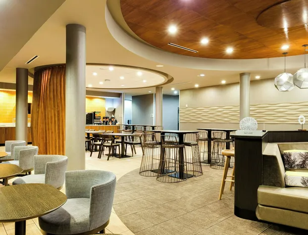 SpringHill Suites by Marriott McAllen Convention Center hotel detail image 3