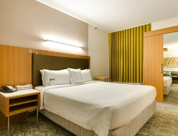 SpringHill Suites by Marriott McAllen Convention Center hotel detail image 4