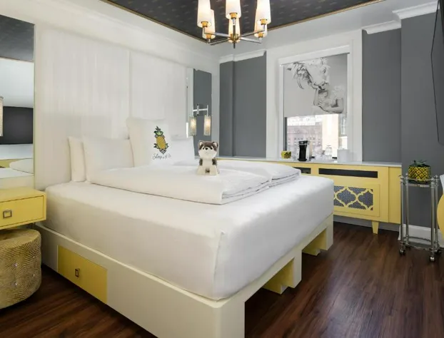 Staypineapple, A Delightful Hotel, South End hotel detail image 3