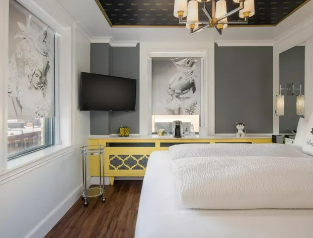 Staypineapple, A Delightful Hotel, South End hotel detail image 4