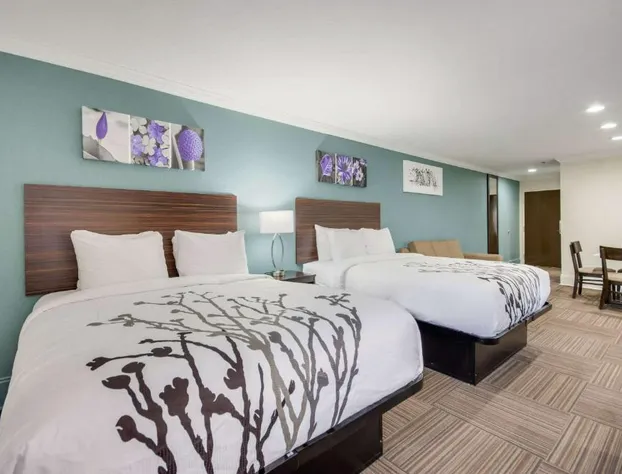 Sleep Inn & Suites Niceville – Destin hotel detail image 1