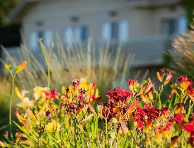 Temecula Creek Inn hotel detail image 2