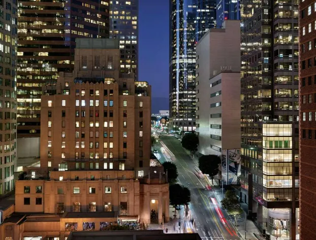 Hilton Checkers Los Angeles hotel detail image 4