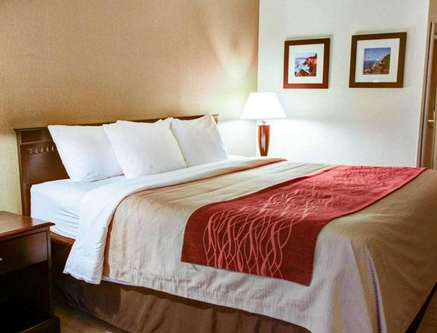 Quality Inn Florence hotel detail image 4