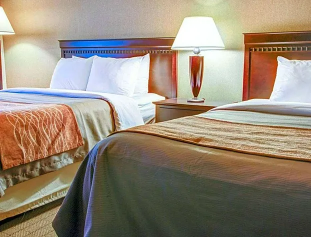 Quality Inn Florence hotel detail image 3