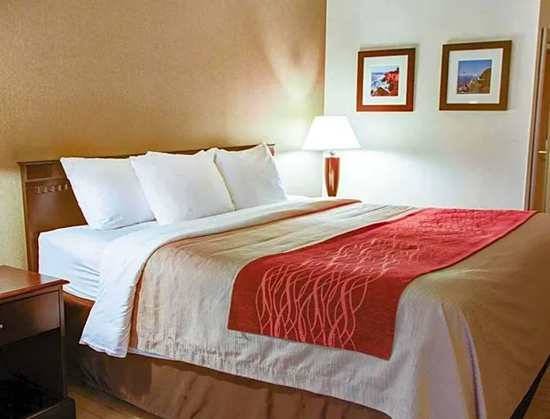 Quality Inn Florence hotel detail image 4