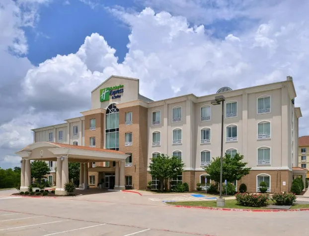 Holiday Inn Express Hotel & Suites Sherman Highway 75 by IHG hotel detail image 3