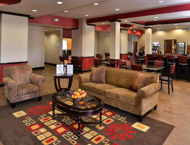 Holiday Inn Express Hotel & Suites Sherman Highway 75 by IHG hotel detail image 4