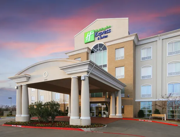 Holiday Inn Express Hotel & Suites Sherman Highway 75 by IHG hotel detail image 3