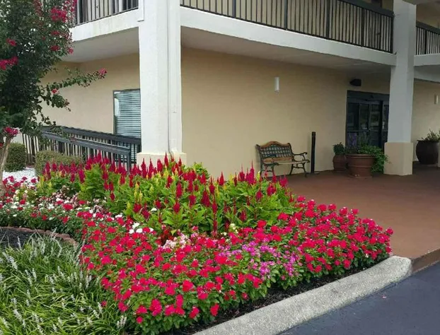 Super 8 by Wyndham Calhoun hotel detail image 3