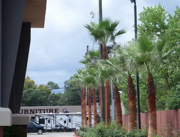 Comfort Suites Lake Charles hotel detail image 2