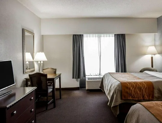 Comfort Inn & Suites Lumberton Central I-95 hotel detail image 4