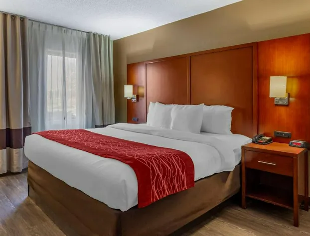 Comfort Inn Fort Mill Amusement Park at Carowinds Blvd hotel detail image 3