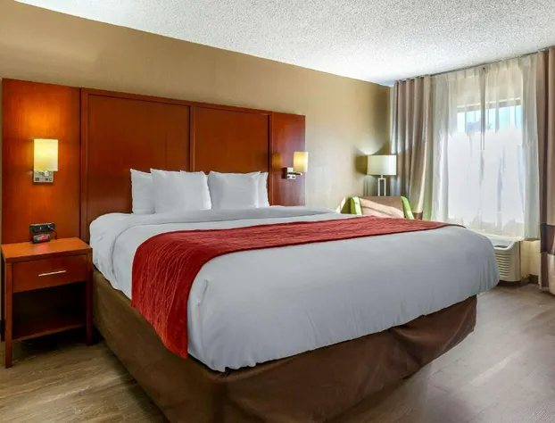 Comfort Inn Fort Mill Amusement Park at Carowinds Blvd hotel detail image 4