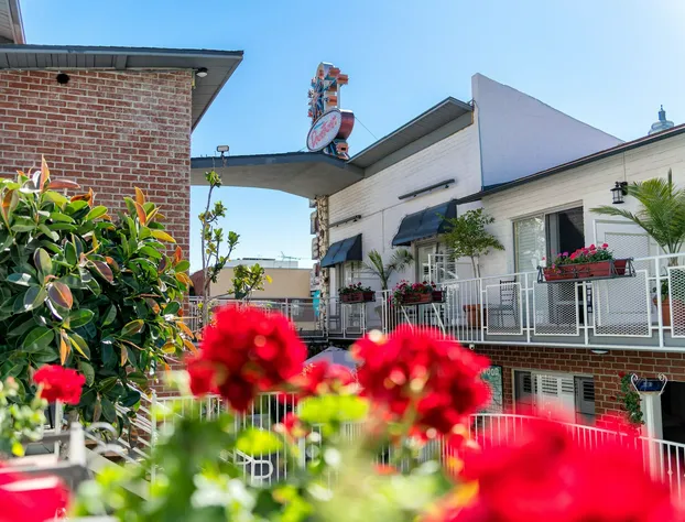 Hollywood Downtowner Inn hotel detail image 2