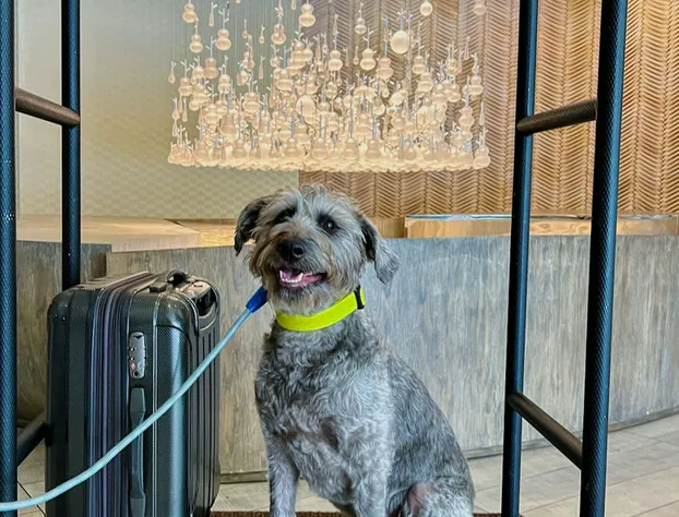 Renaissance Phoenix Downtown hotel detail image 3